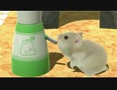 ただただハムスターと戯れるだけの動画 【ジャンガリアン物語】
