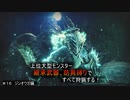 【モンハンライズ】継承武器、防具縛りで上位大型モンスター全部狩る！！　＃16