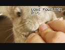 Love together 歌った