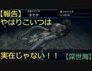 【深世海】第19回　海底火山を探索する前に