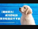 【継続努力をされている方へ。】その成功の鍵を握るのは「気分転換！！」