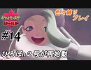 ＃14 胸を境に上下で男性の評価が極端に変わりそうなジムリーダー【ポケモン盾：ちょっとだけ縛りプレイ】
