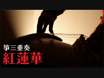 箏三重奏「紅蓮華」