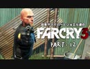 田舎サバイバーとジョエル達のFARCRY3 PART-12