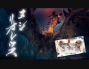 【MHRISE実況】豪炎！名を冠した火竜！百竜夜行ヌシ・リオレウス！　六