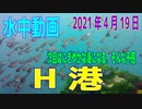 水中動画（2021年4月19日）in H港