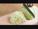 千切りキャベツ神社.Cabbage