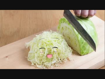 千切りキャベツ神社.Cabbage