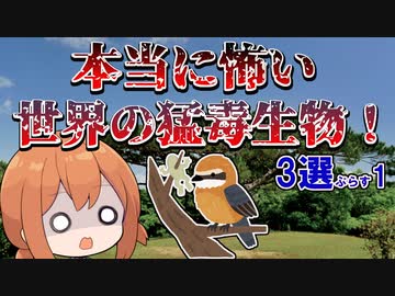 世界の猛毒生物！最強トップ3プラス１のご紹介【VOICEROID解説】
