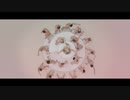 Вера Брежнева - Ты мой человек