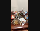 小学校からの友人を救いに行く配信‼️20210523