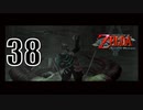 【ゼルダの伝説トワプリ】風貌が伝説の勇者【PART38】