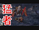 （モンハンライズ＃17）お前が弱いんじゃ無い、俺が強すぎるんだよ・・・