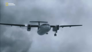 生存者からの通報 (英語)