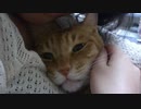 ボクのかぞく My Family_大津美紀