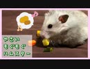 【癒し】はじめて野菜のおやつを食べるハムスター【ふわたん】