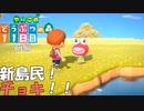 【実況】やりこめ どうぶつの森 011日目 前編