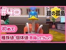 【ポケモン剣盾/DLC1鎧の孤島】ポケモン好きが、初めて種族値・個体値を意識し冒険！【実況】#40