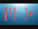 自津留(ジツル)ドリフトダイビング・沖縄慶良間諸島