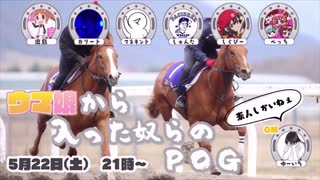 ウマ娘から入った奴らのPOG　ドラフト会議中継　#ウマ奴らPOG