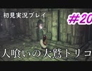 【少年と巨獣が紡ぐ、新たなる神話】人喰いの大鷲トリコ　＃20