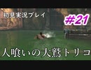 【少年と巨獣が紡ぐ、新たなる神話】人喰いの大鷲トリコ　＃21