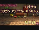 【FF11】【えびせん】　マンドラ★ コリガン アデニウム キトルルス 植木鉢　71