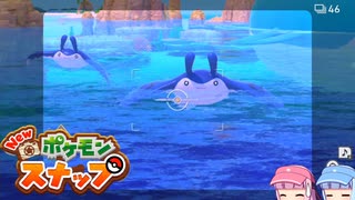 琴葉姉妹のポケスナライフ！２６日目