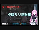バイオ８夕陽リリ詰み集