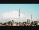 【やさしく】君を好きなことがバレた 歌ってみた【しょこた】