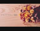 ドライフラワー／優里 covered by 星宙一輝