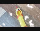 【MASATO】小悪魔だってかまわない！(めいちゃんver)踊ってみた【オリジナル振り付け】