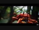 【疑似m@s】シマカニ