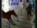 自分に賭ける