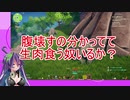【#Craftopia 】「え!!おなじ姿でアクションアドベンチャーを!?」#1【#バ美肉 #Vtuber 】
