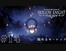 虫嫌いが行く昆虫王国冒険譚 #14【Hollow Knight】