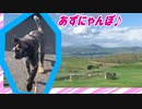 2021/05/26放送【54日目 北海道 弟子屈町 高原地帯 あずにゃんぽ（猫散歩）】北海道全市町村制覇するまで帰れまてん！　猫と車中泊の旅　日本縦断【旅猫あずき～保護猫から旅猫へ～】