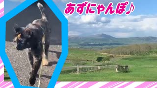 2021/05/26放送【54日目 北海道 弟子屈町 高原地帯 あずにゃんぽ（猫散歩）】北海道全市町村制覇するまで帰れまてん！　猫と車中泊の旅　日本縦断【旅猫あずき～保護猫から旅猫へ～】