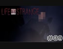 運命を巻き戻す少女『Life is Strange』Part39