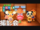【実況】やりこめ どうぶつの森 011日目 後編