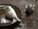 だんだん激しくなる