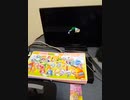 直撮りゼルダ26