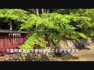 初夏の神社風景　「名神大社 厳島神社」初夏の静かな境内の様子