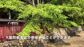 初夏の神社風景　「名神大社 厳島神社」初夏の静かな境内の様子