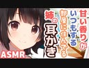 【耳かきボイス】甘い香りがいつもする部屋に住んでる姉の耳かきコレクションvol.167【ASMR/音フェチ】