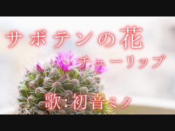 人気の サボテンの花 動画 59本 ニコニコ動画