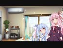 葵ちゃんがチョコミントと対話出来るようになりました。