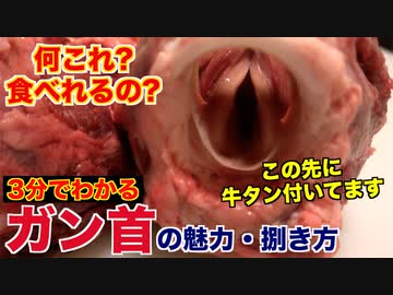 【捨てないで!!】牛のガン首の魅力と捌き方