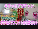 キラッとプリチャン～おすぬいマスコットの日常253★～