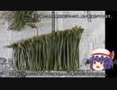 ゆっくり農民160ワラビを育ててみませんか？#2